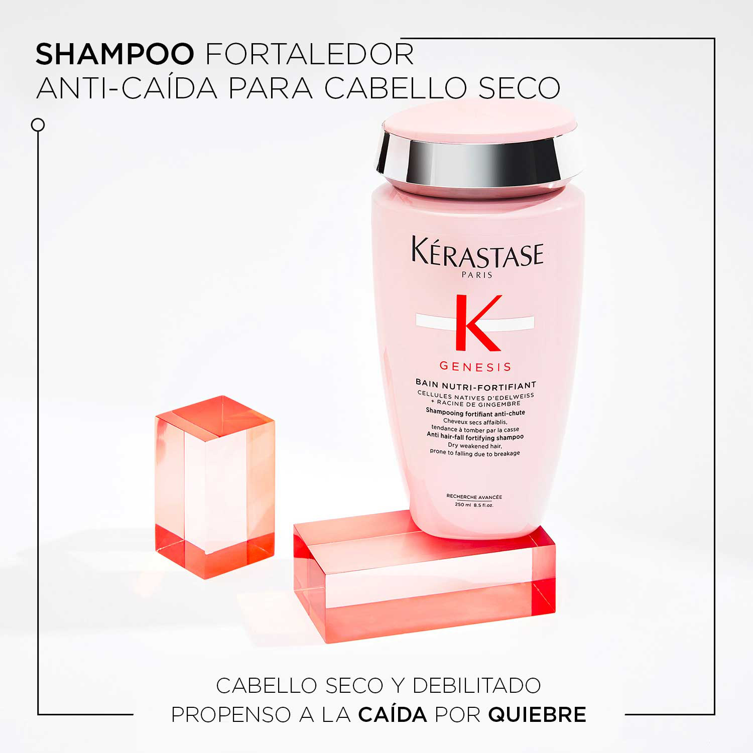 KÉRASTASE SET ANTI-CAÍDA (SET PARA CUIDADO DEL CABELLO)